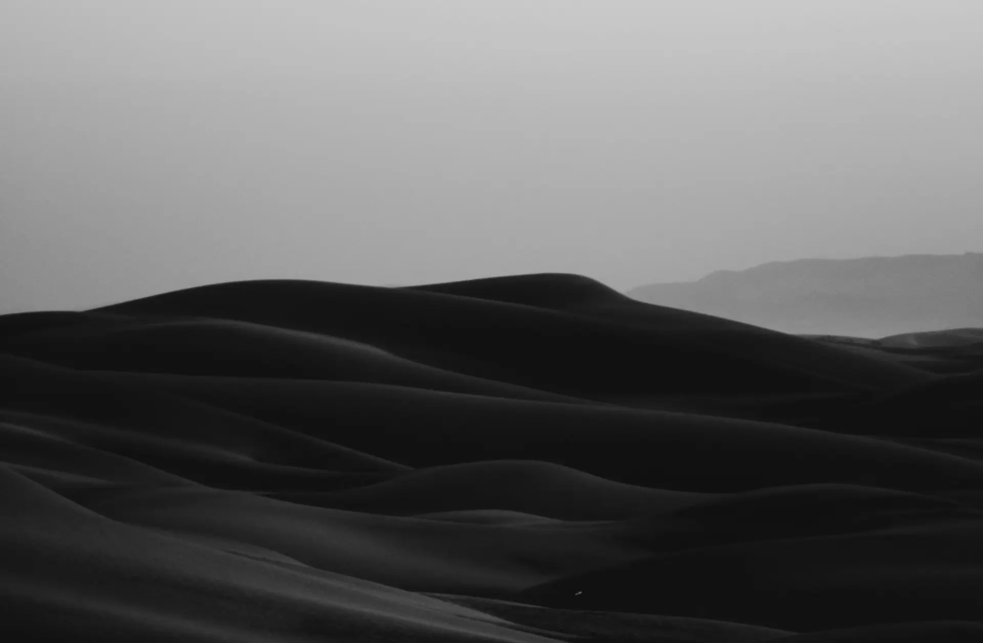 Duis Tristique Condimentum